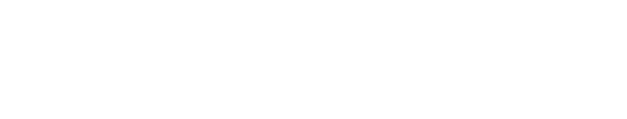 Intellectual Capital Systems